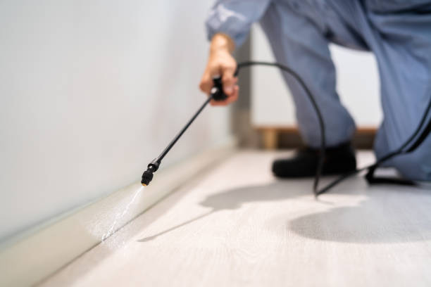 Licensed Cockroach Control service in Cortland, IL - Nex Pest Control