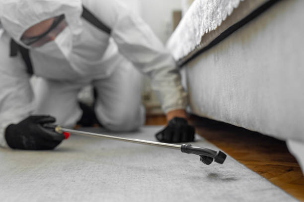 Professional Cockroach Control technician working in Cortland, IL