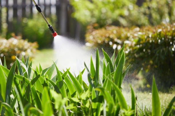 24/7 Emergency Cockroach Control experts in Cortland, IL