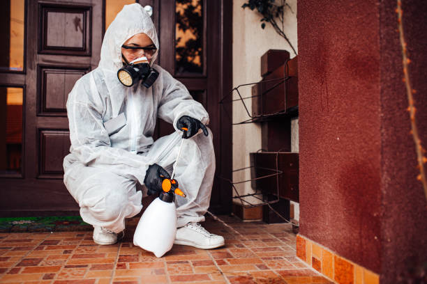 Reliable Cockroach Control contractor in Cortland, IL by Nex Pest Control