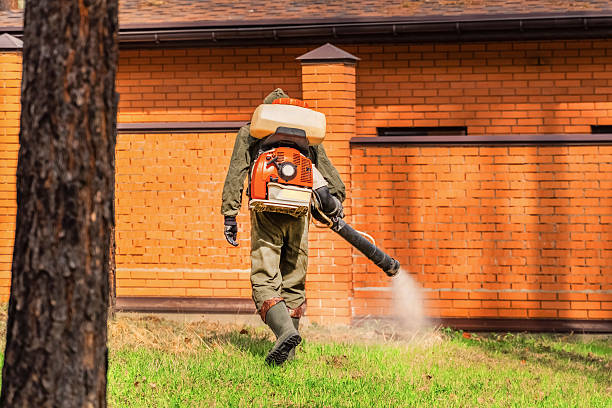 Trusted Emergency Pest Control service in Cortland, IL - Nex Pest Control